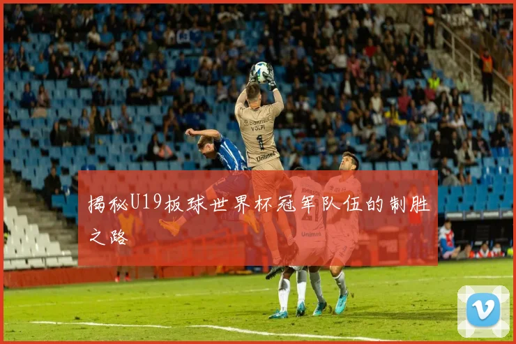 揭秘U19板球世界杯冠军队伍的制胜之路