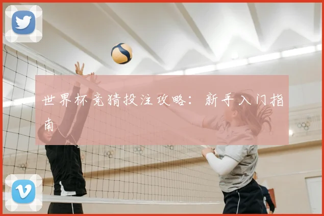 世界杯竞猜投注攻略：新手入门指南