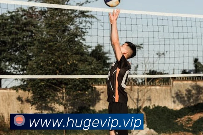 九游体育官网登录入口发展历程